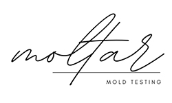 moltar Mold Remediation - Mold Services